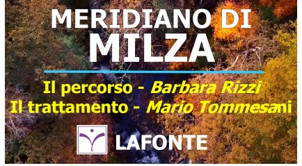 copertina Meridiano di Milza